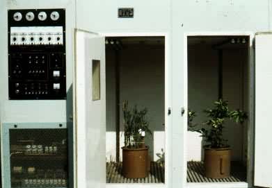 �˹�������