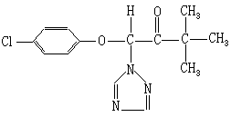 ��ʽ ����