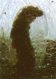 ɣ�ϵ�һ������˿���