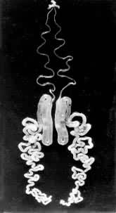 ͼ4 ɣ����ϵ�˿��