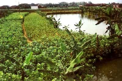 ɣ������