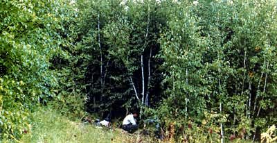 ��ɫɭ�������þ���