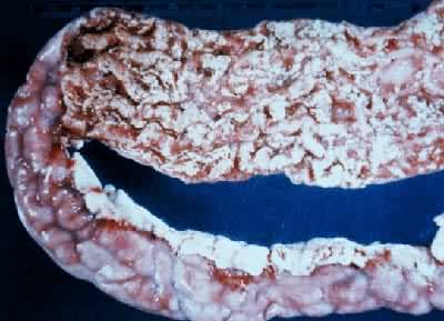 ��ɳ���Ͼ�������