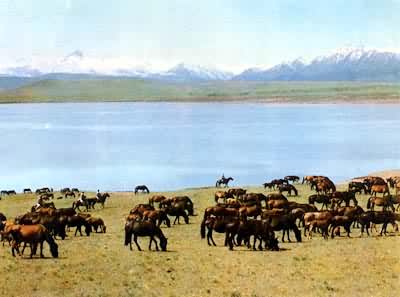 ��ɽ���µ�ɽ����Ⱥ