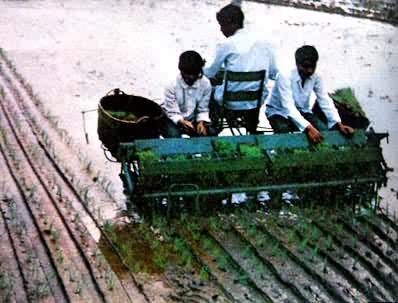 ��е����