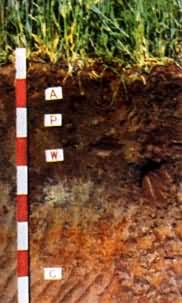 �й��������͡�ˮ��������ͼ