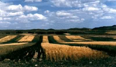 ˮ���������͡�������������ɽ��