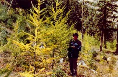 ˮ���������͡������ɺ�ɽ��