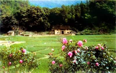 ˮ���������͡��Ϸ�����ɽ��