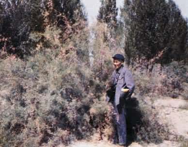 ˮ���������͡�����Ͽ�ȸ���ɽ��