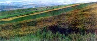 ˮ�����ִ�ʩ���ֲݴ�ʩ