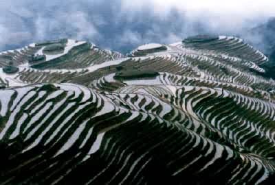 ˮ������