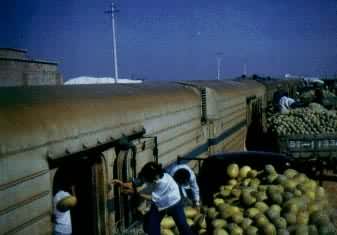 �½��������