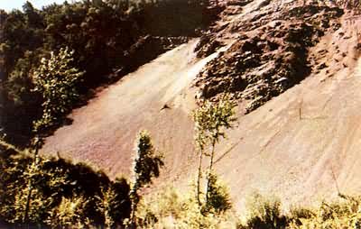 ������ʴ��ʽ������