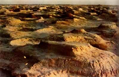 ������ʴ��ʽ����ʴ