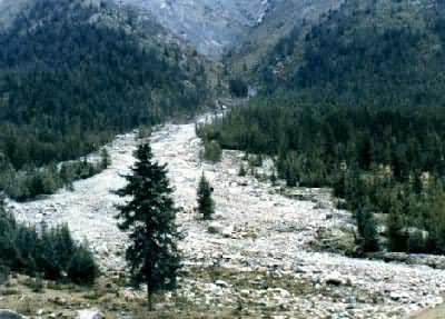 ������ʴ��ʽ����ʯ��