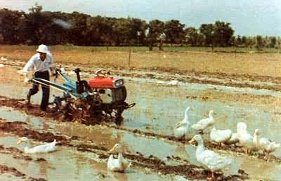 �ַ���������ˮ�����