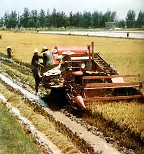 �����ո���ջ�ˮ��