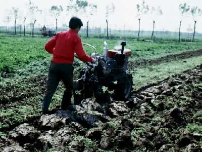 �ַ������������