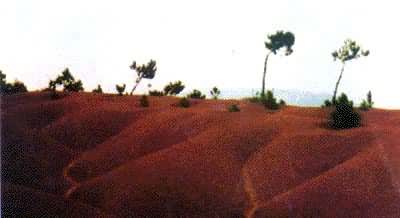 ������ʴ��ʽ��ɰ������ʴ