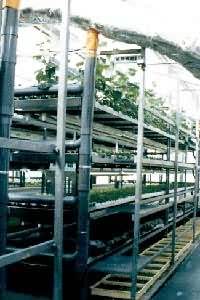 ���������߲�����