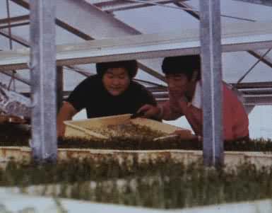 �������