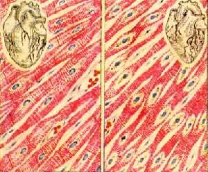 �ļ���Ƭ��ή����(��)��������(��)