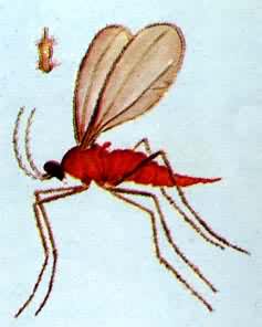 С���������