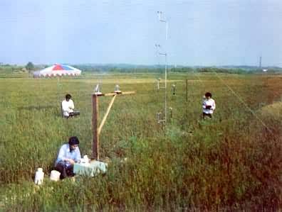 ũ��С�����ݶȹ۲�