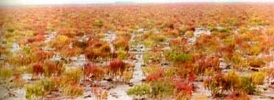 �й��������͡�����������μ�ĵ�