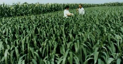 �й��������͡������������μ��