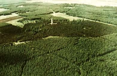 ��Ҷ���˹���