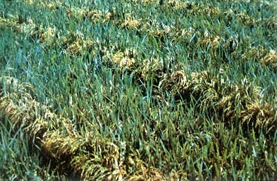 �ӽ���������(�����ǲ���ϵ���ߵ��ǻָ�ϵ)