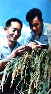 ���ּҹ۲��ӽ���