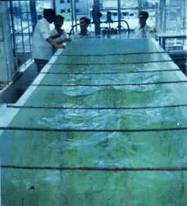 �˹���������