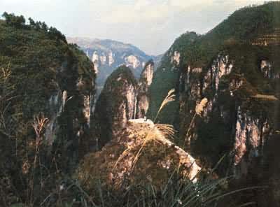 �����żҽ����ɭ�ֹ�԰