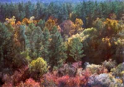 �����콻��