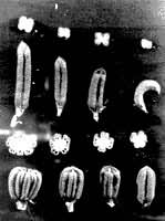 ֥���������������