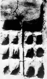 ͼ2 ���ϳ�������ģ��