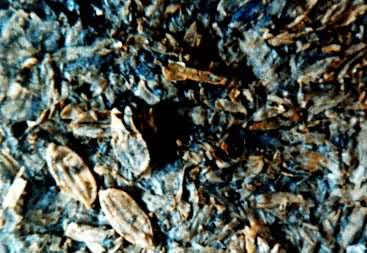 �㽭��Ҧ��ķ�ɳ�������ʯ��ʱ���ĵ���