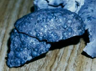 ������ù�������ж�����ĸ�Ӳ��