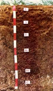 �й��������͡���������ͼ