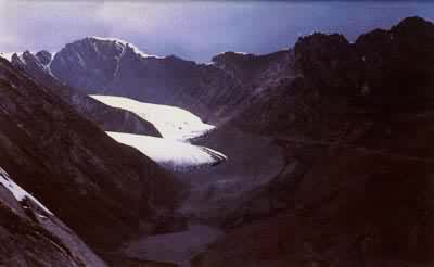 ��ɽ��³ľ���Դ1�ű����й���λ�۲���磬�о���Ϊϵͳ������ı�����ɽ�ȱ���