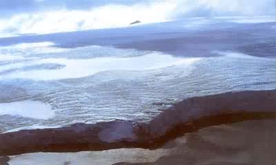 �ϼ����ε���ñ