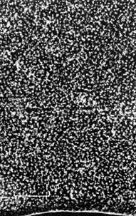 ͼ2���������ݣ�ˮƽ���棩