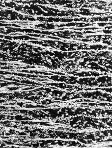 ͼ3���������ݼ����ݲ㣨��ֱ���棩