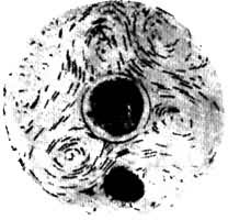 ͼ3 ��������