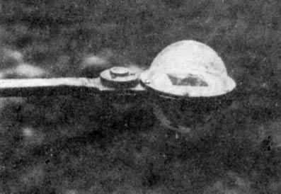 ͼ8 ����ϩ���籡Ĥʽ��������