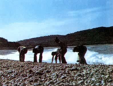 ɽ��������ʯ��̲���ɲ��˷������Զ��ɣ�