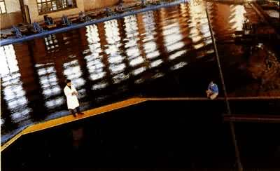 �ۿڲ���ģ������